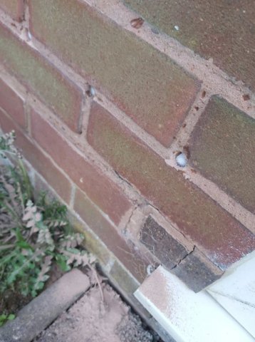 Close up of Dryrod Rising Damp treatment which was installed by Weatherdry Damp Specialists