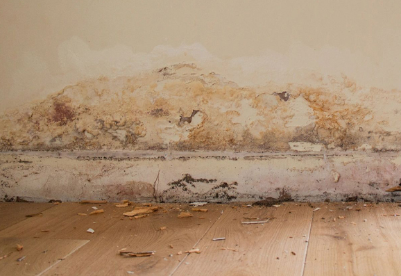Rising Damp On A Wall In Nottingham | Reasons For Rising Damp