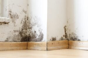 fixing Damp walls of Homes and Energy Bills