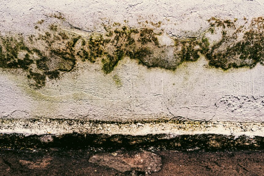 How Damp Proofing Protects Your Home’s Structural Integrity