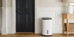 Why Is My Home Still Damp Even After Using a Dehumidifier?